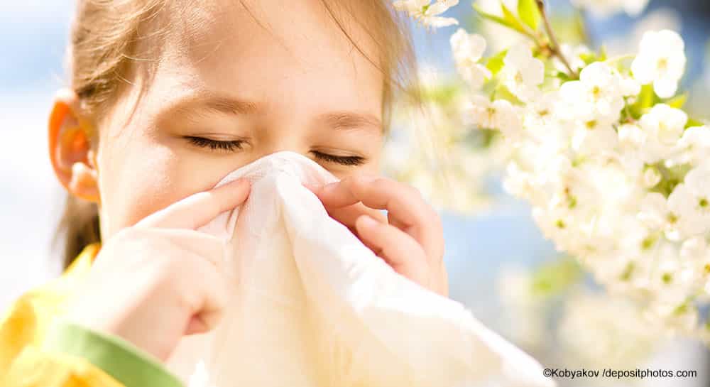 Drei Schritt Allergietherapie