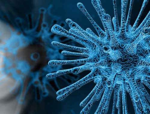 Ihr Immunsystem in kürzester Zeit stärken und Viren trotzen